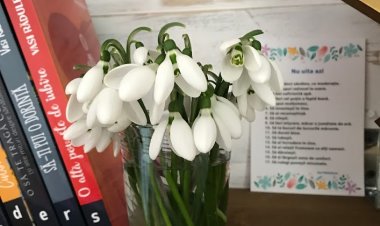 Viocei pentru o mamă