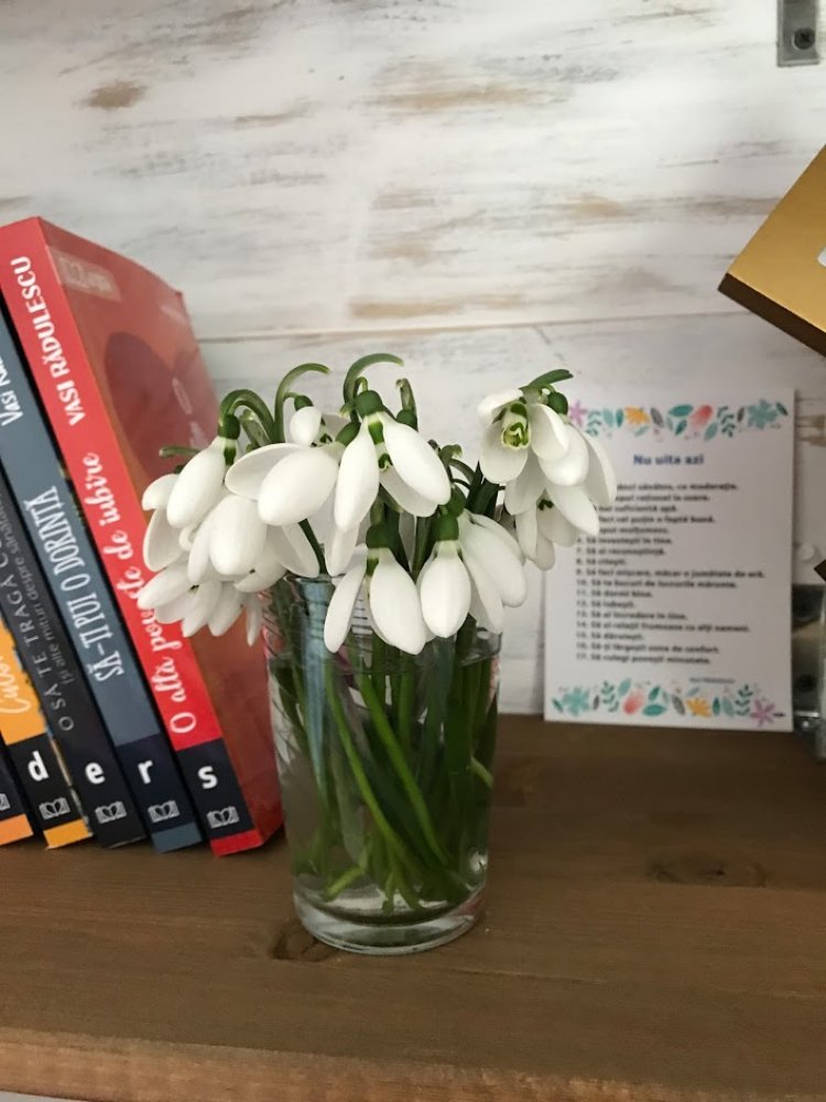 Viocei pentru o mamă