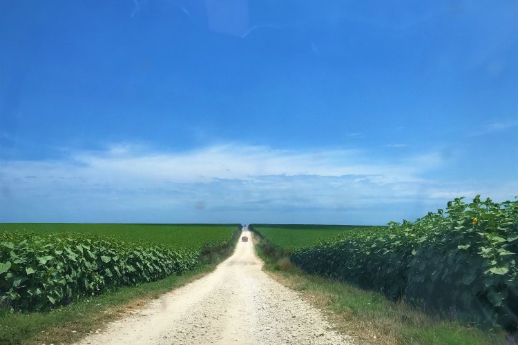 Drumul spre sălbatica Ezerets