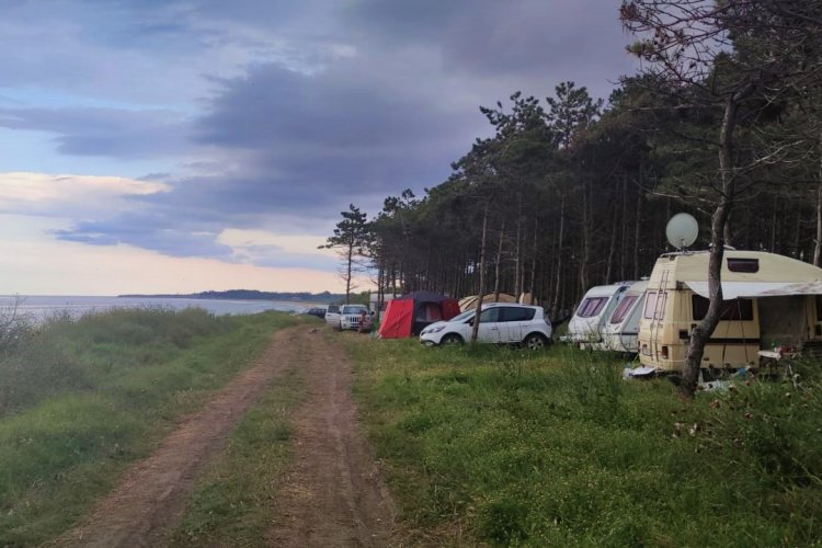 Alți vecini de pădure