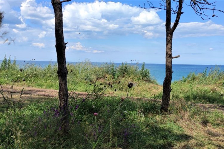 Priveliștea din cort